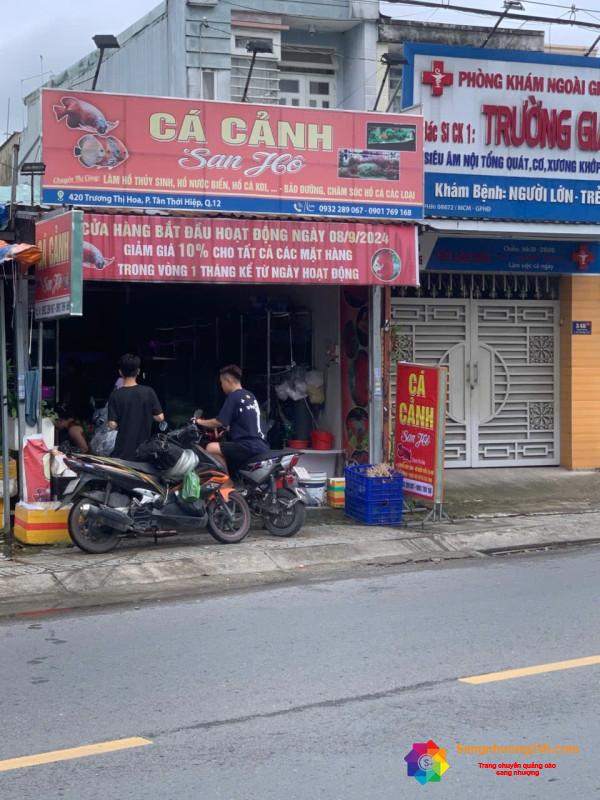 Cần Sang Nhượng Tiệm Cá Cảnh Ở Quận 12