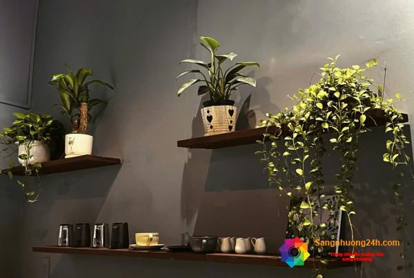 Sang quán cafe