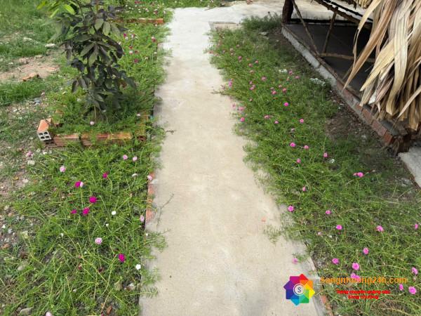 Sang quán ăn - nhậu