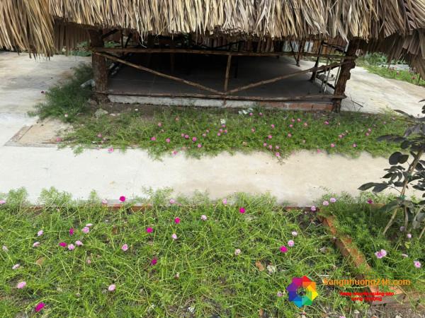 Sang quán ăn - nhậu